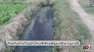 SHOCKING! Poison Veggies in Pakpattan | Vegetables Grown with Toxic Sewage Water | Health ALERT