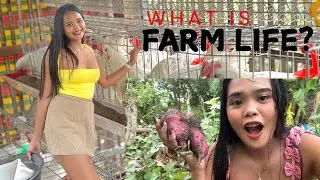 You&rsquo;ll Fall in Love with Countryside Life in the Philippines 😍🌿