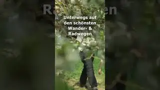 Jetzt beginnt die Kirschbl&uuml;te im Kirschenland Witzenhausen!