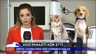Kedi Paraziti İzmir'de 2 Kadını K&ouml;r Etti!