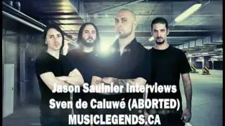 Aborted Interview - Sven de Caluw&eacute;