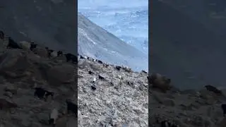 Amazing view Gilgit Pakistan#trending #nature #worldexplorer #shortvideo #explorenow