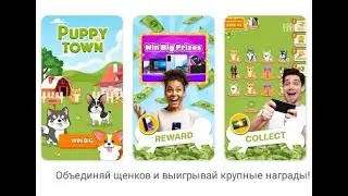 Вывода нет. Обзор PUPPY TOWN #7