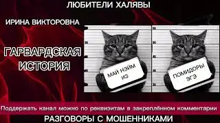 ИРИНА ВИКТОРОВНА. ГАРВАРДСКАЯ ИСТОРИЯ | ТЕЛЕФОННЫЕ МОШЕННИКИ