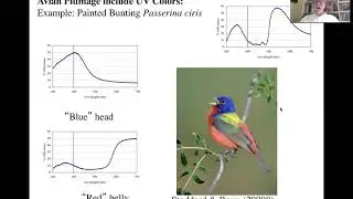 Richard Prum: Como as Aves Veem as Cores