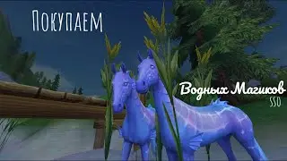【SSO】Покупаем водных хорсе-магиков~│𝓜𝓪𝓰𝓲𝓬 𝓱𝓸𝓻𝓼𝓮𝓼│