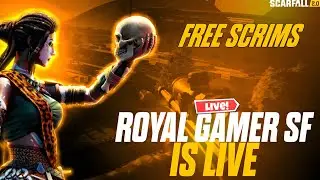 Free scrims || #royalgamerzsf @royalgamerzsf #scarfall