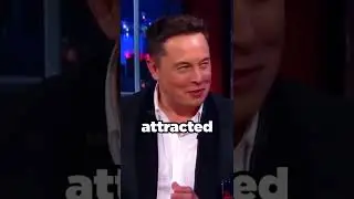 Amber Heard and Elon Musk Started Dating❗️ #shorts