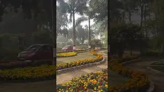 The LOTUS POND!!!#farmhouse #ytshorts #love #chinsurah #amidstnature #flowers #farm