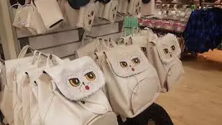 Primark Disney and Harry Potter hunt January 2018