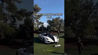 Pest control is already there☠️🗿 #edit#caredit#car