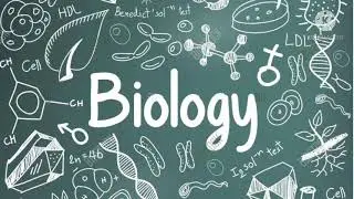 Transportation of water and minerals in plants