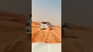 Dangerous driving desert safari Tour