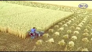 BCS Reaper Binder 3 Wheel (Self Propelled) | Kisan Engineering Works | 9523617526 |