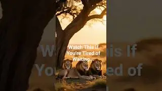 THE DIVINE DETOUR: Why the Door Closed #motivation #faith #talefiles #lionofjudah #inspiration