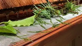 Champion Gutter Guard