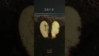 The decay of apples in a earth worm box