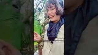 Talented Birds