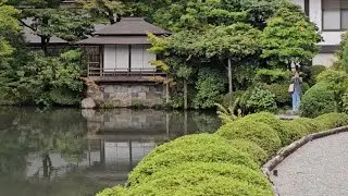 300 years old japanes royal garden 😍#trending #japan #nikko