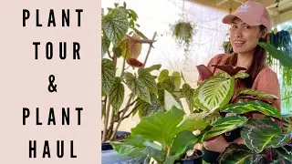 Plant Tour and Plant Haul l My first ever Agloenemas l Calathea Hybrid  l Plants by Wendy