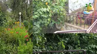 Kanthalloor trip -  Part - 1