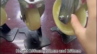 Material PP Swivel Plate with Featured Brake White Medium duty caster.