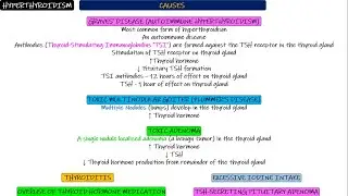 Hyperthyroidism. Chapter 77 part 8. Guyton and Hall Physiology.