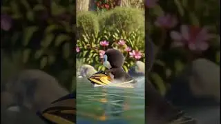 Cute penguin riding a Jet Ski😍🐧