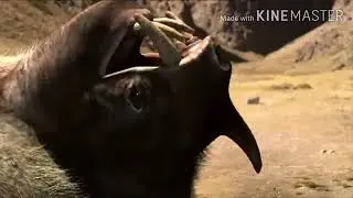 dharm aur karm(5)