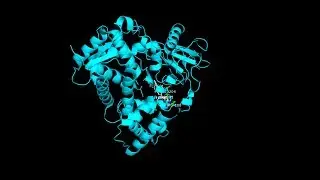 Flurbiprofen: Structure and Uses