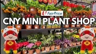 🐎 Tour Of Chinese New Year Plants Flowers And Decorations | The Supermarket Mini Plant Shop