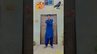 Halal vs Haraam #allah #muhammadﷺ #youtube #islamic #viralvideo