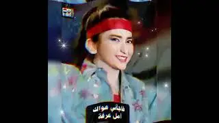 فاجأني هواك - أمل عرفة