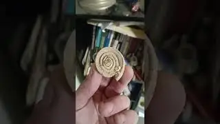 caracol f&oacute;sil #espejocoleccion #viralvideos #espa&ntilde;a #mexico #france #argentina #chile #peru #bolivia