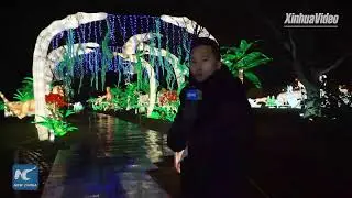 LIVE: 2019 NYC&nbsp;Winter&nbsp;Lantern&nbsp;Festival