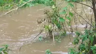 Swollen River 3 (2025). 