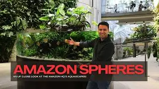 INSIDE AMAZON'S EXCLUSIVE AQUARIUM!