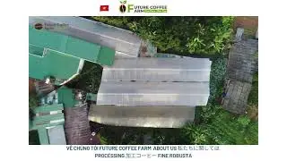future coffee farm  vietnam fine robusta