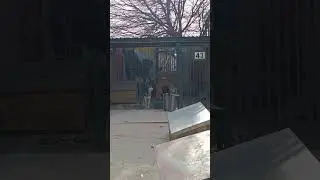 Тбилиси 🇬🇪 Сакартвело 💌 Грузия Приют Тамаза Элизбарашвили 🐕💌🍀🙏