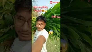 মাকৈ গছ নিবলৈ আহিলোঁ&nbsp; //🤩🤔😱 #Minivlog [Hirak333] #Assam #short #trending #07 #hirak333&nbsp;#daliyvlog