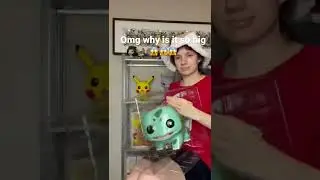 I can&rsquo;t believe how big this Bulbasaur Pok&eacute;mon Funko Pop is 😱😱😬😬😍😍