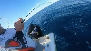 Maxel Armory 15L & Risky Player 55/4 touche en direct