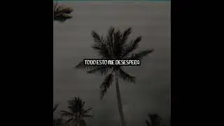 PENSABA QUE ERA FUERTE // SANDRO MALANDRO