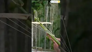 How to Make a Cool Bamboo Crossbow at Home#BambooCraft#DIYProjects#HandmadeWeapons#Craftsmanship