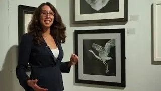 SGFA Annual Exhibition at Mall Galleries 2022