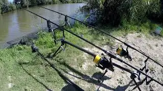 BRANIA KARPIA CARP RUN 2020!