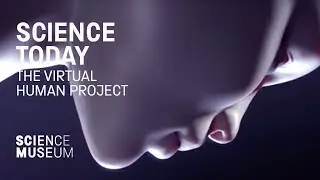 The virtual human project
