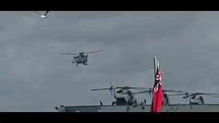 Wild cat helicopter 🚁