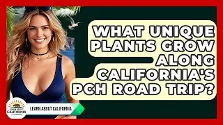 What Unique Plants Grow Along California's PCH Road Trip? - Learn About California