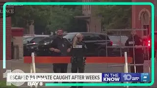 Michael Burham captured again, is now in custody